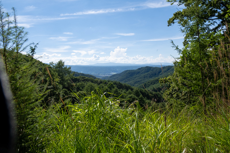 林道 田口十石峠線（長野）