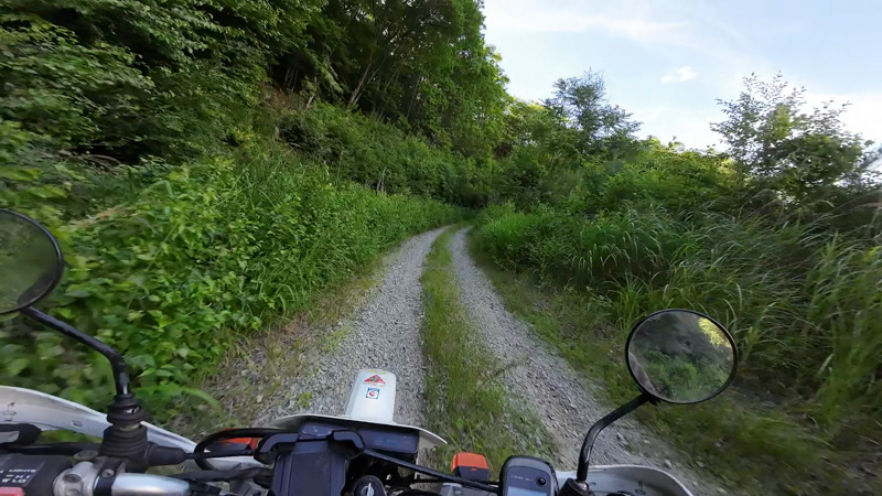 林道 田口十石峠線（長野）