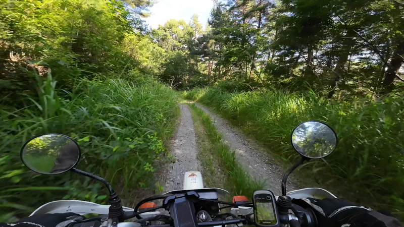 林道 田口十石峠線（長野）