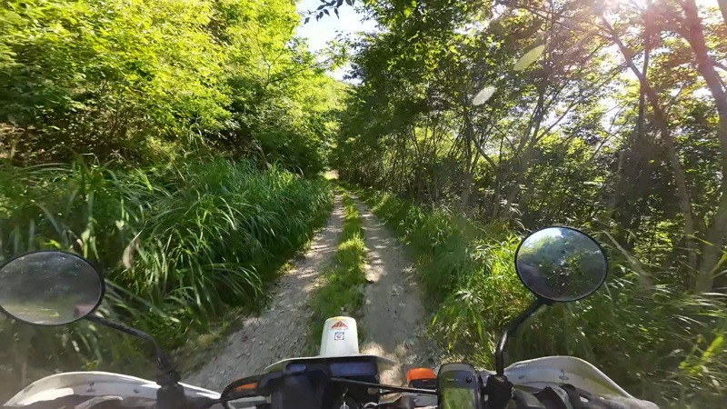 林道 田口十石峠線（長野）