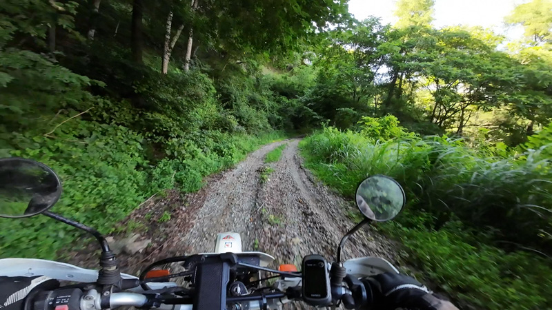 林道 田口十石峠線（長野）