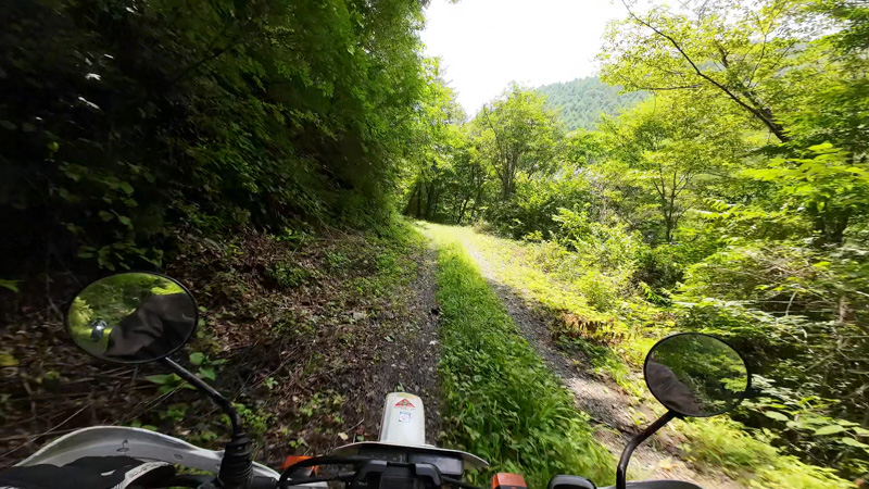 林道 東山線（長野・北相木村）