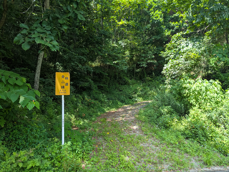 林道 東山線（長野・北相木村）