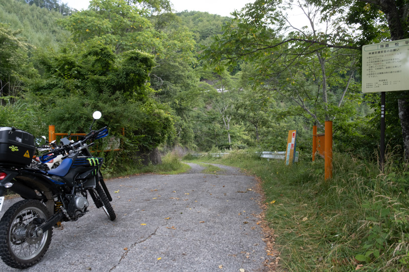 林道 松平線（山梨）