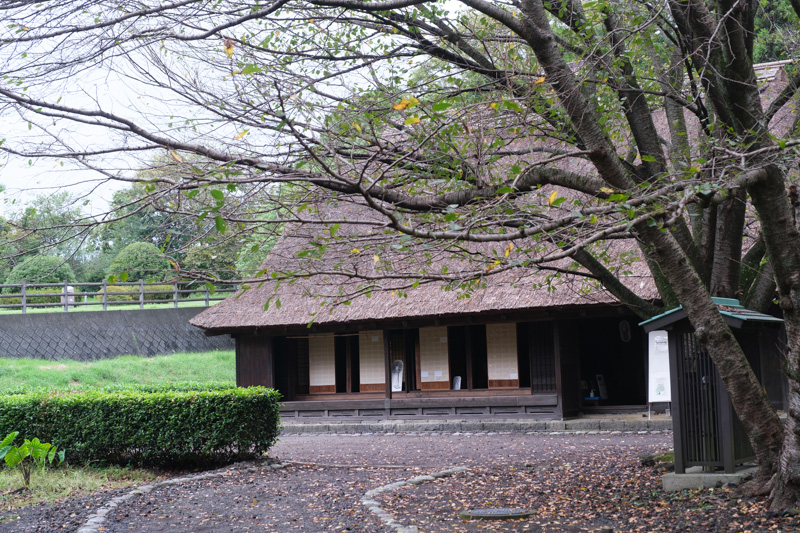 広見公園