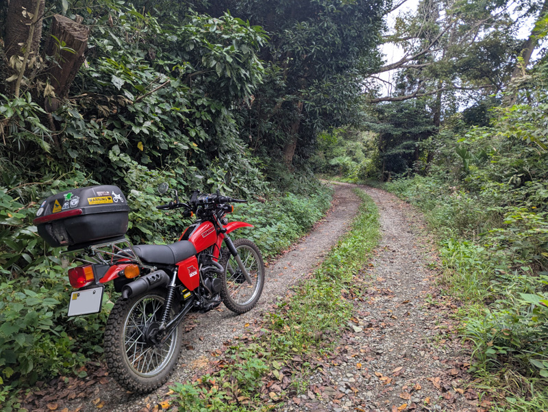 XL125S（軽二輪登録）で三浦半島