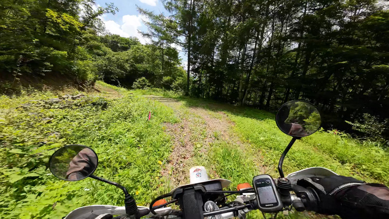 林道 東山線（長野・北相木村）