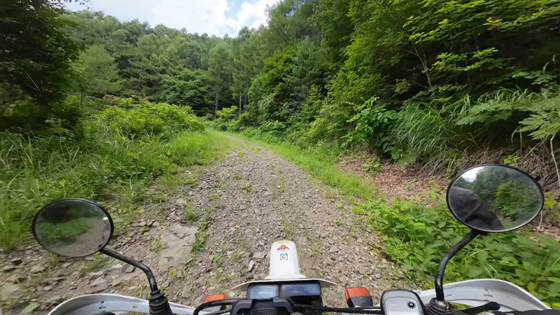 林道 東山線（長野・北相木村）