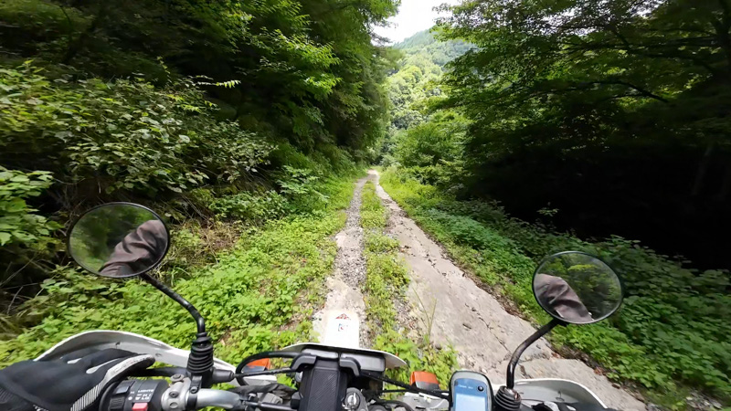 林道 東山線（長野・北相木村）