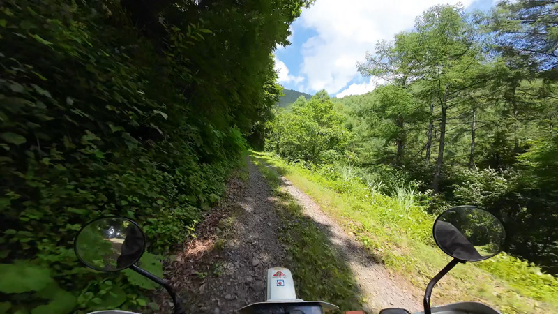 林道 東山線（長野・北相木村）