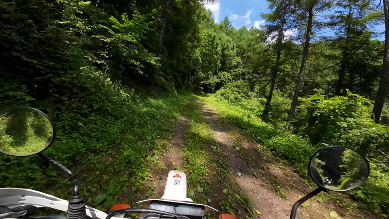 林道 東山線（長野・北相木村）