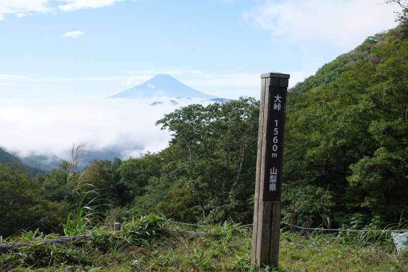 真木小金沢林道