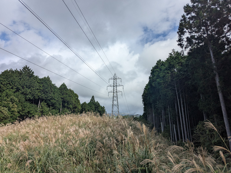 林道・富士本道場線