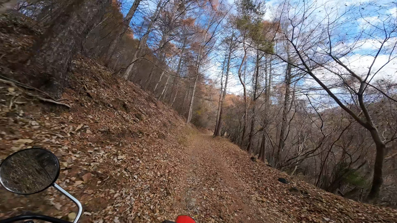 山中湖周辺へ林道ツーリング