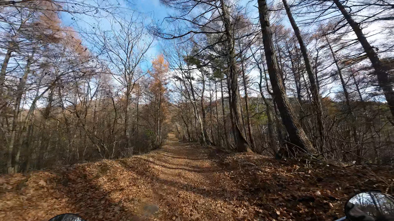 山中湖周辺へ林道ツーリング
