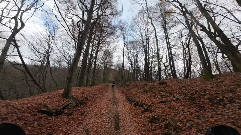 山中湖周辺へ林道ツーリング