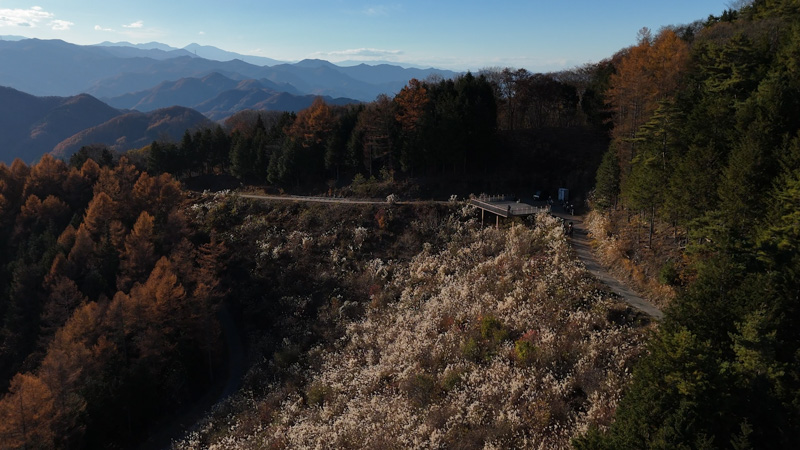 八ヶ岳紅葉ツーリング