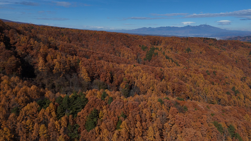 八ヶ岳紅葉ツーリング