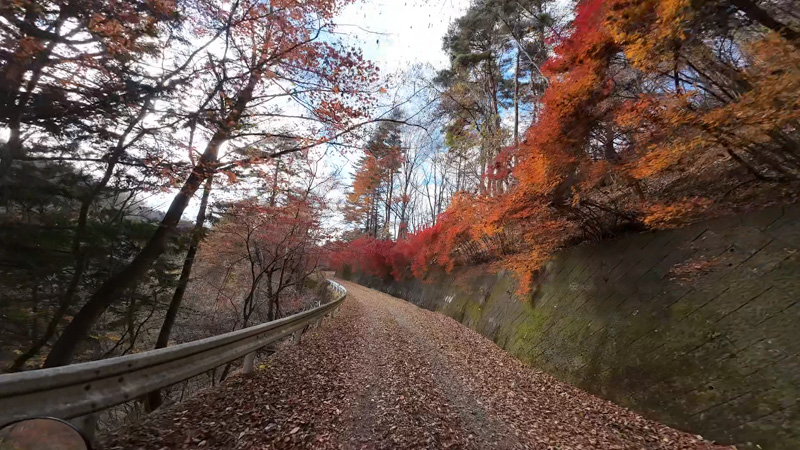山中湖周辺へ林道ツーリング