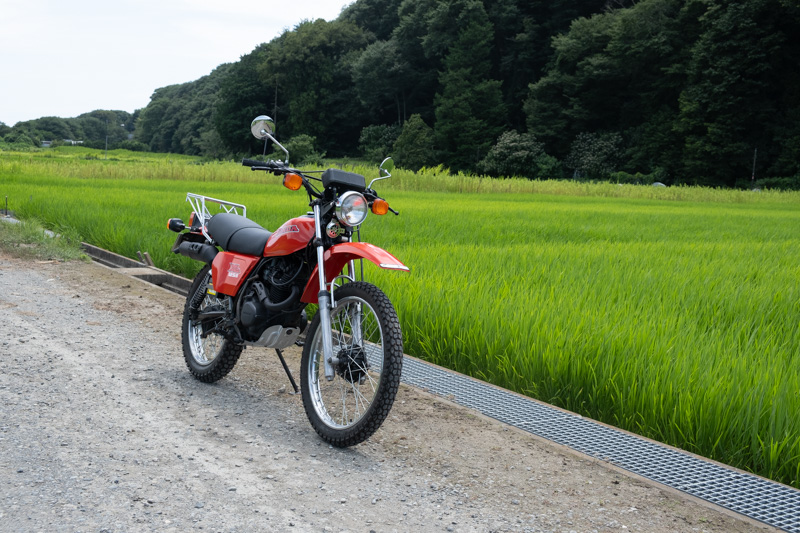 あけましておめでとうございます・2026年