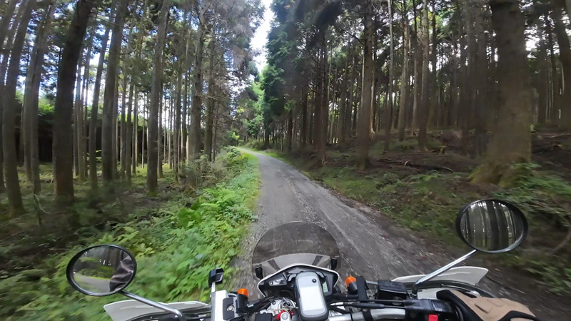 林道 富士本道場線の地図(静岡)