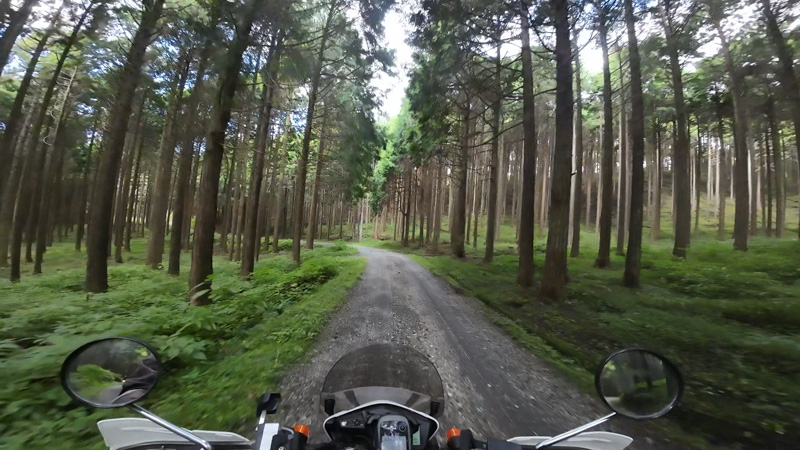 林道 富士本道場線の地図(静岡)