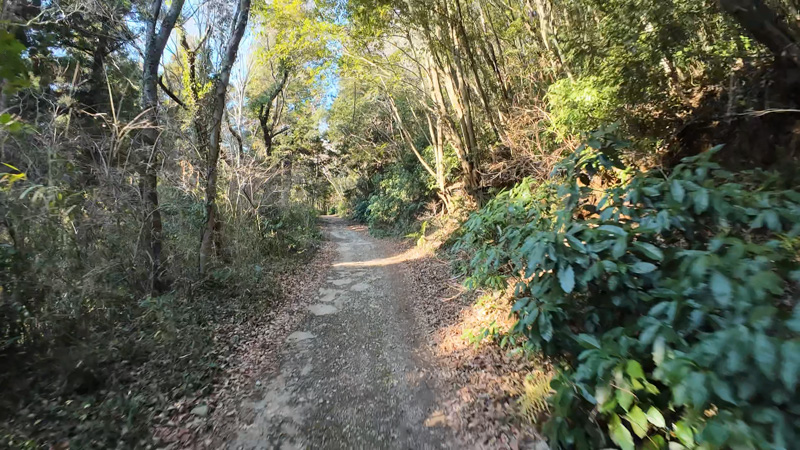 志田峠のダートを走って、リアサスのチェック