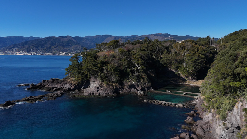 真鶴半島と椿ラインを走るツーリング