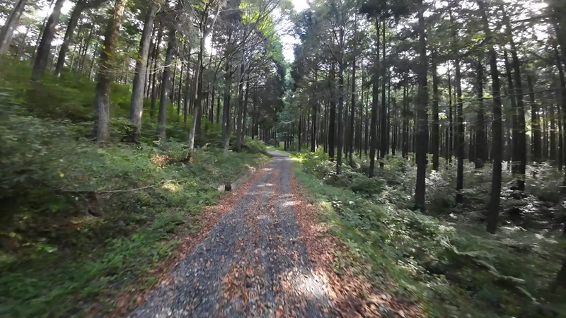 作業道 曽比奈線の地図(静岡)