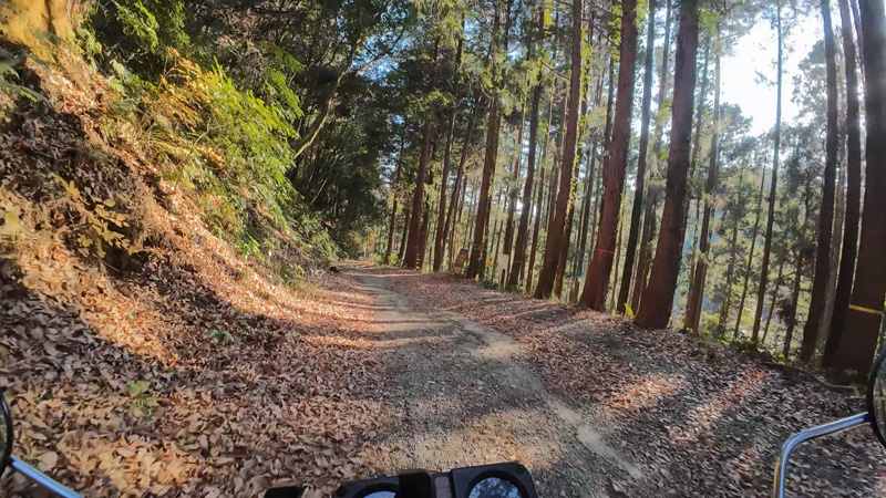志田峠のダートを走って、リアサスのチェック