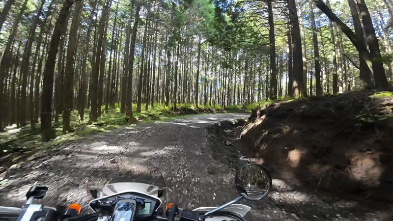 林道 寄坂線の地図（静岡）
