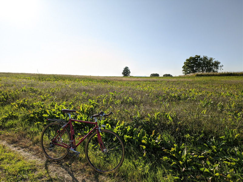 旧上瀬谷通信基地跡地の裏の農地