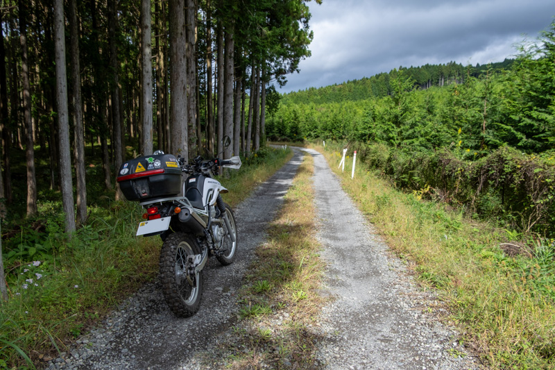 林道 寄坂線の地図（静岡）