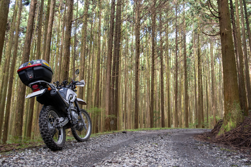 林道 寄坂線の地図（静岡）