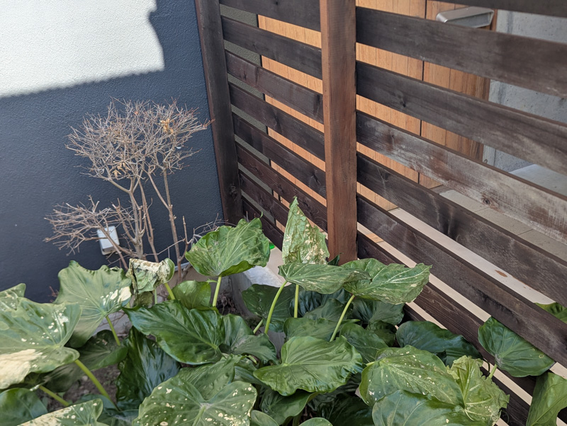 玄関前のフェンスを塗装