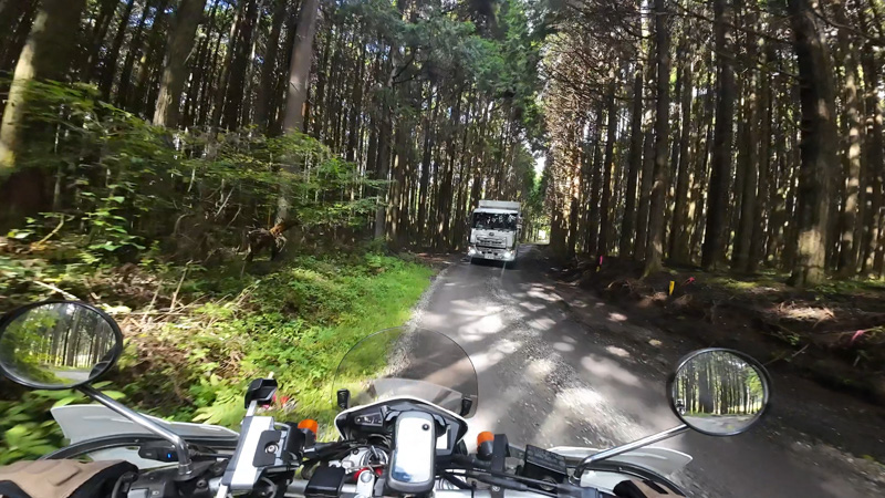 林道 寄坂線の地図（静岡）