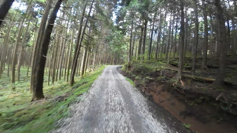 林道 寄坂線の地図（静岡）