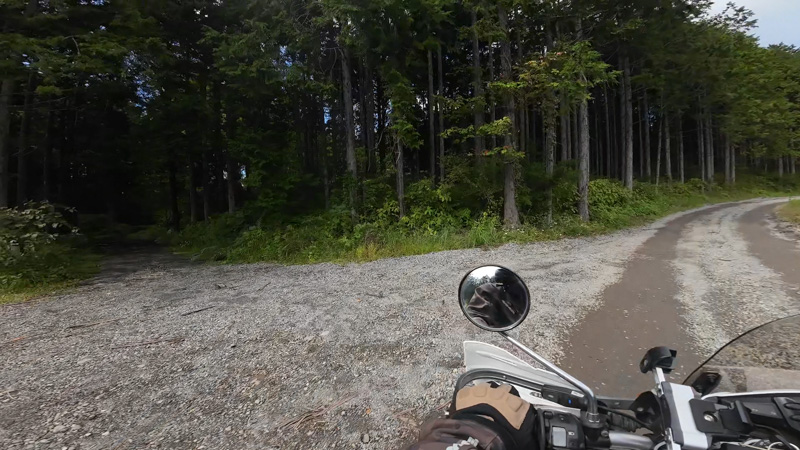 林道 寄坂線の地図（静岡）