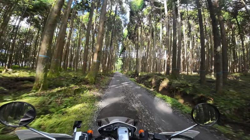 林道 寄坂線の地図（静岡）