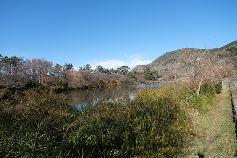 西伊豆ドライブ