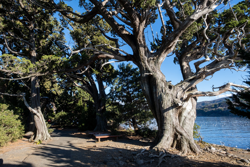 西伊豆ドライブ