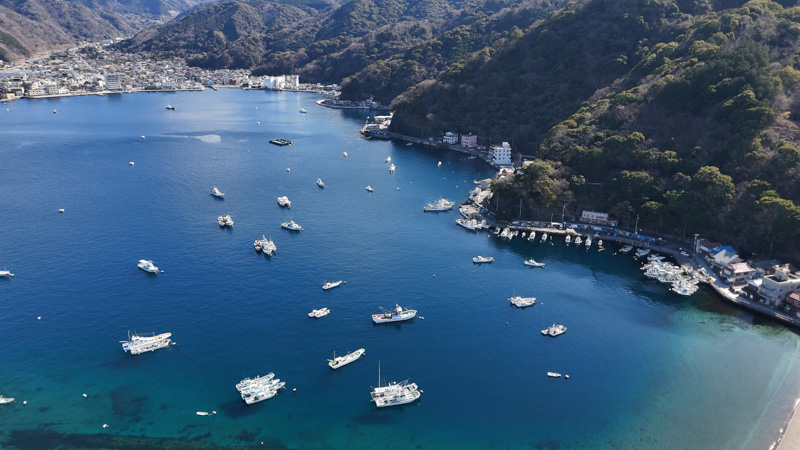 西伊豆ドライブ