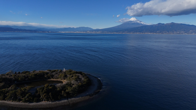 西伊豆ドライブ