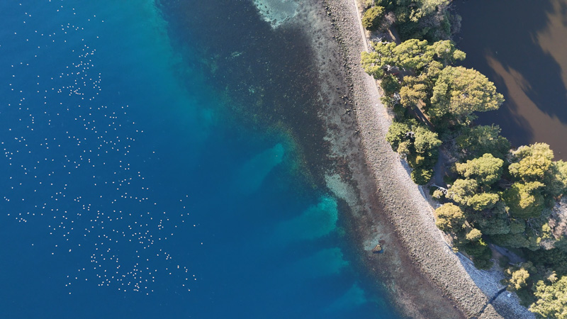 西伊豆ドライブ